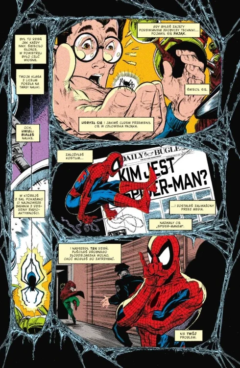 Spider-Man (Todd McFarlane)_2.webp