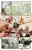 84132906o.webp
