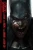DCEased: Nieumarli w świecie DC.webp