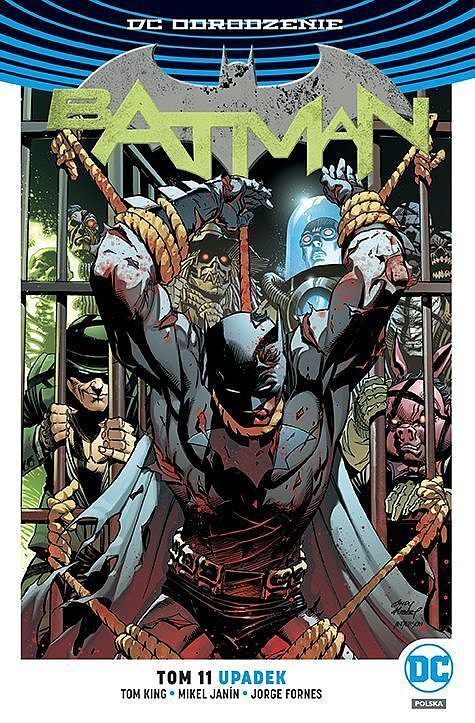 Batman: Upadek - Tom 11.jpg