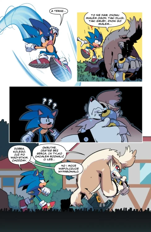 sonic-the-hedgehog-wirus-tom-07-2