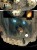 giganci_enzo_tom-10-2