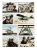 Pustynne Skorpiony_2.webp
