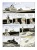 Pustynne Skorpiony_3.webp