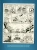 Asteriks: Asteriks i Normanowie - Tom 9 (Wydanie 2025)_2.webp