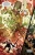 Savage Avengers - Tom 3_3.webp