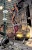 Wonder Woman. Tom 1_2.webp