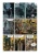 Thorgal_Bękarty_3.webp